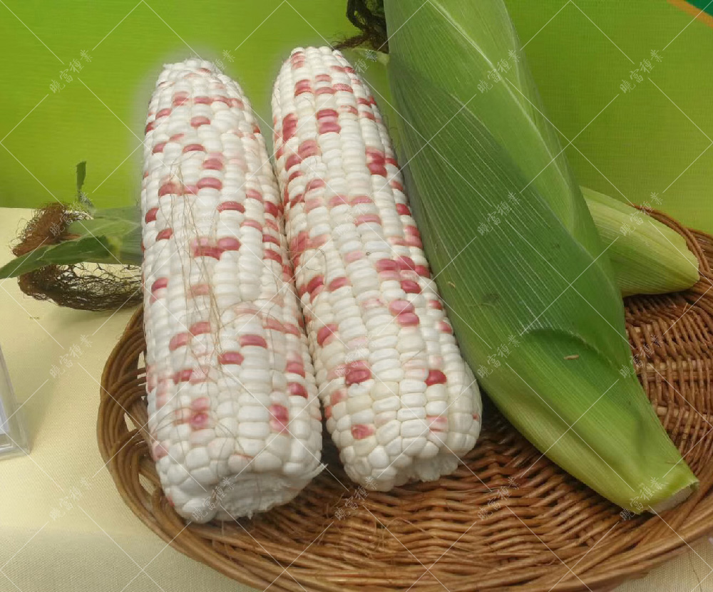 1558490003504294.jpg 40.jpg