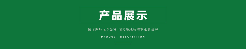1558490042270147.jpg 00新產(chǎn)品.jpg