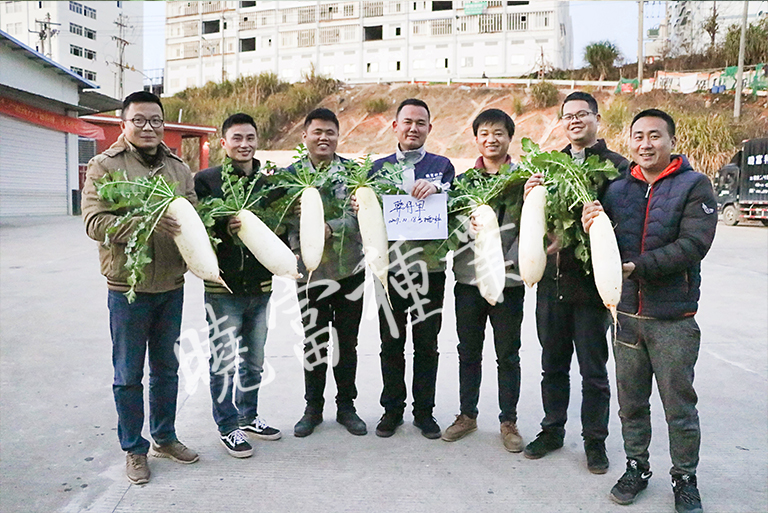 1585789488577432.jpg 02.jpg