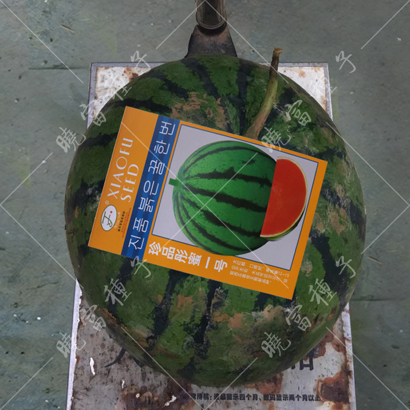 1585993763533027.jpg 08.jpg