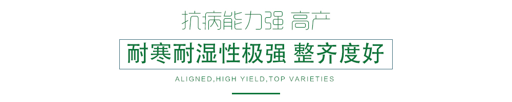 1600250934266650.jpg 07.jpg